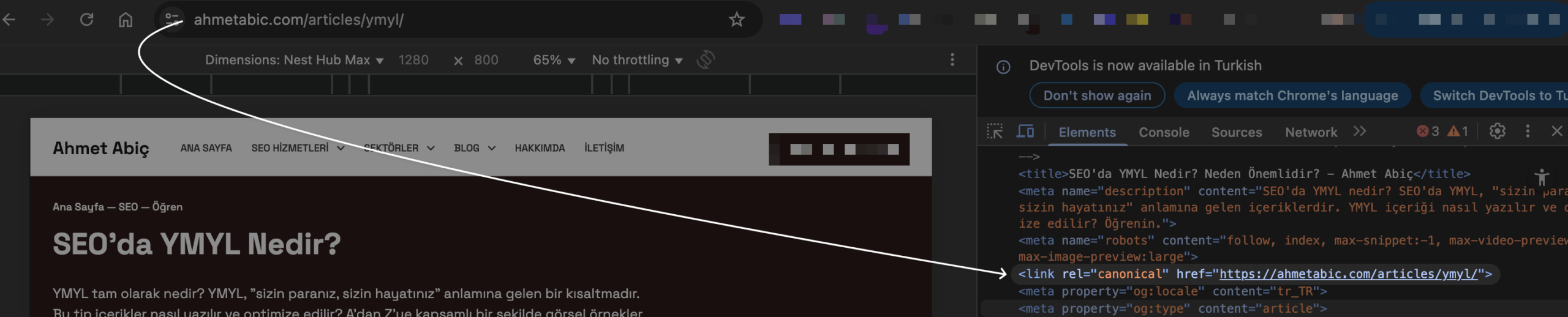 kanonik etiketi head alanında kullanmak
