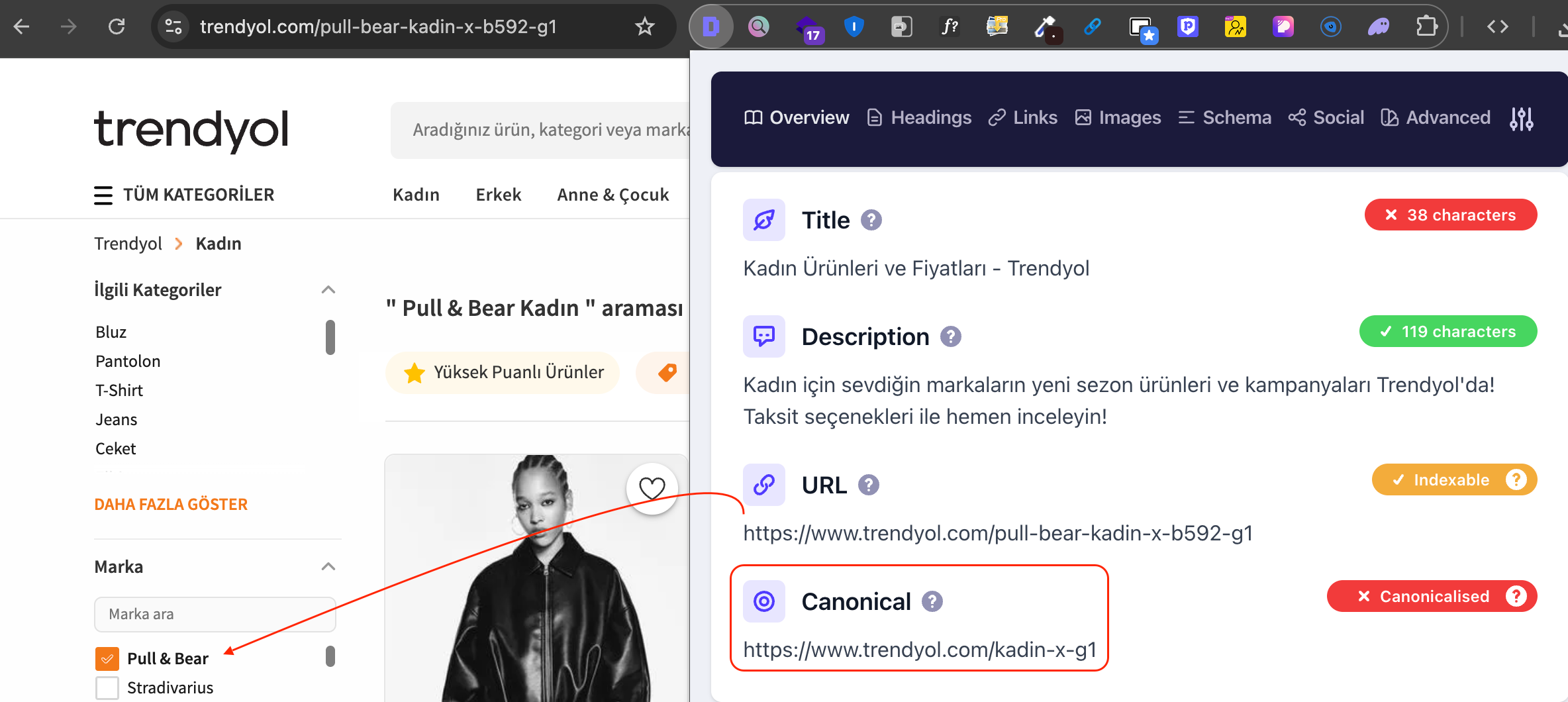 Canonical Etiketi örneği