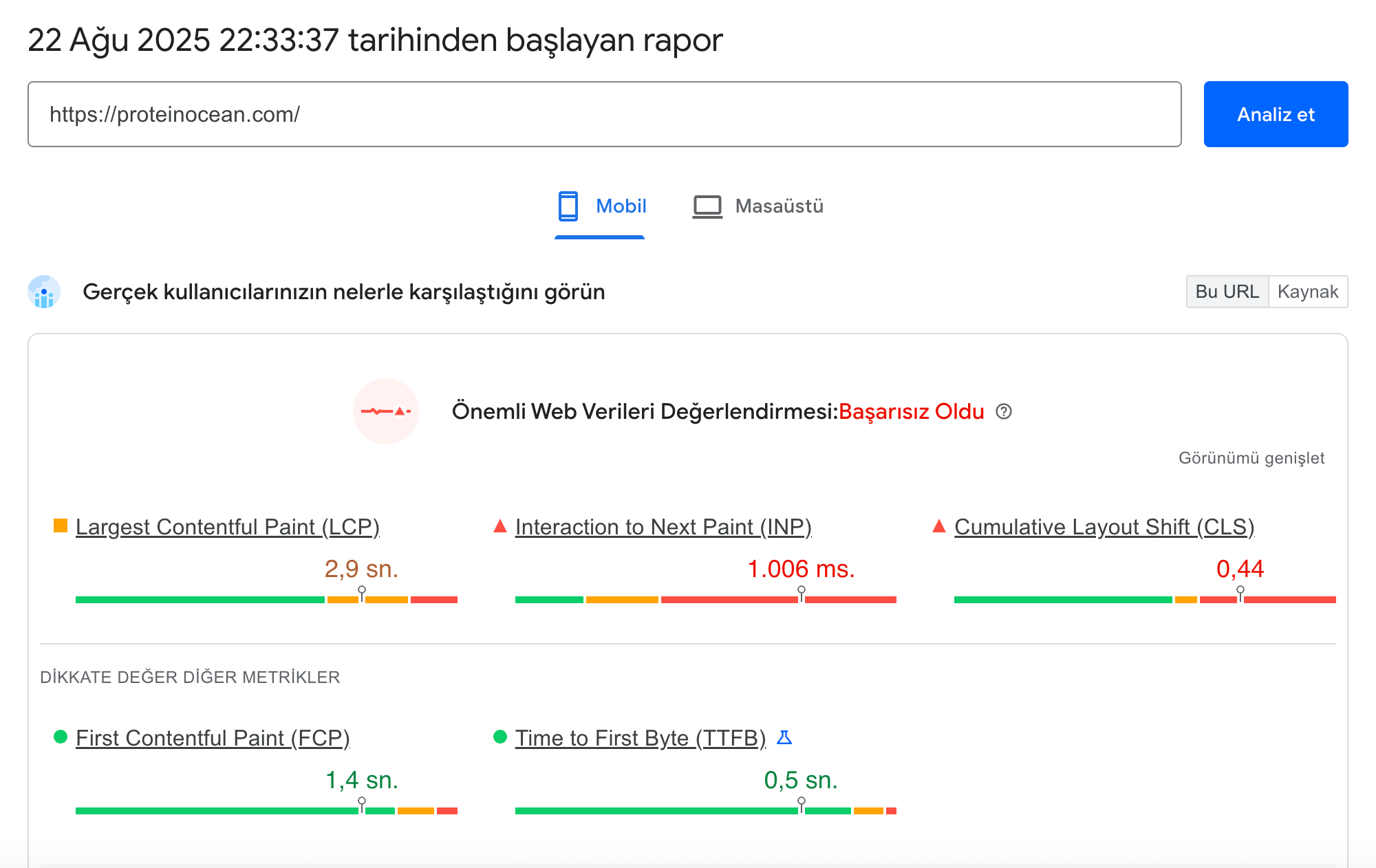 Proteinocan PageSpeed Insights verileri