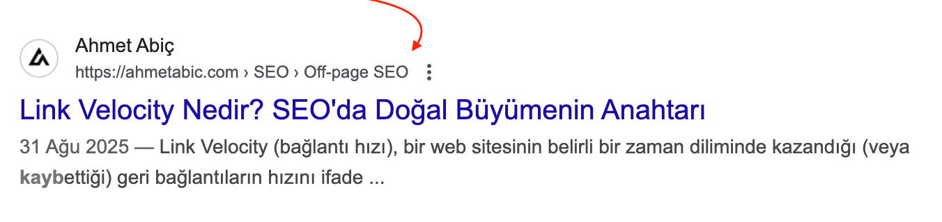 Arama Sonuçlarında Daha Etkili Zengin Sonuçlar Gözükür.