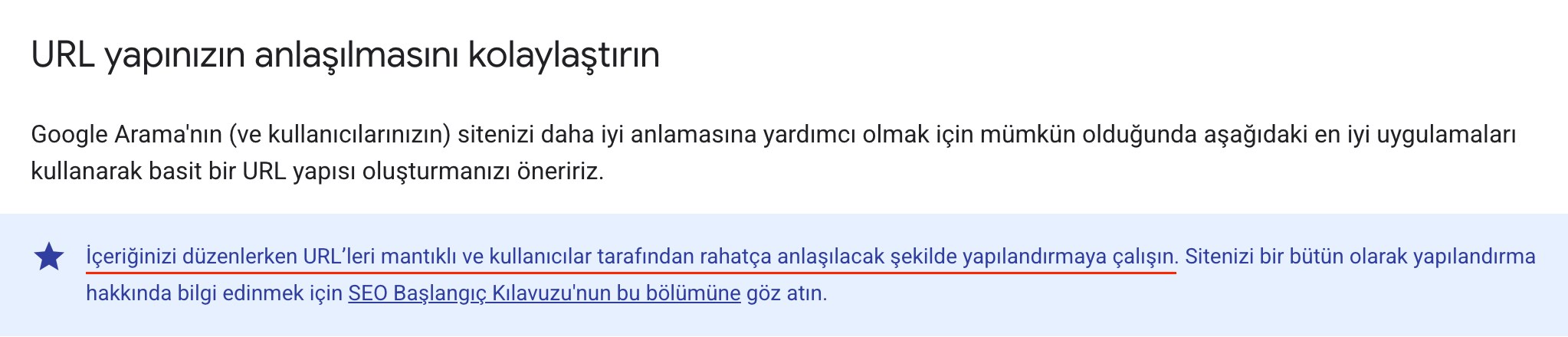 seo uyumlu url yapısı Google'a göre nasıl olmalıdır