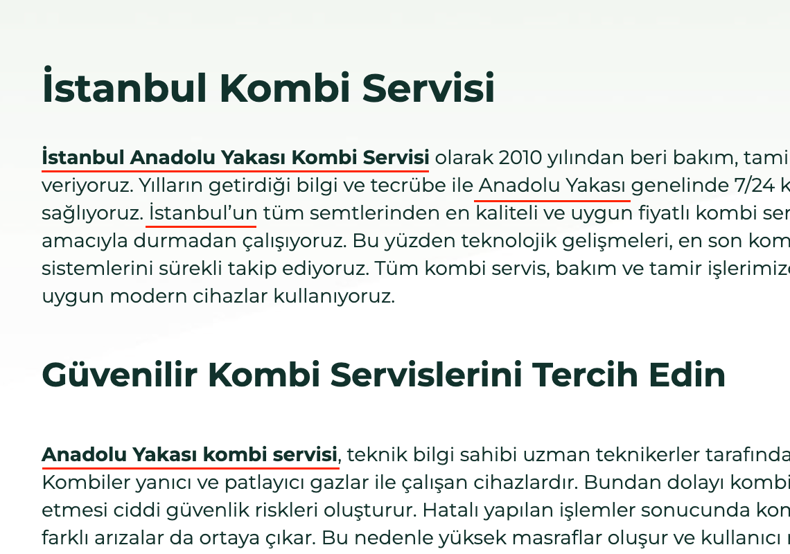 yerel seo odaklı site içi anahtar kelime optimizasyonu