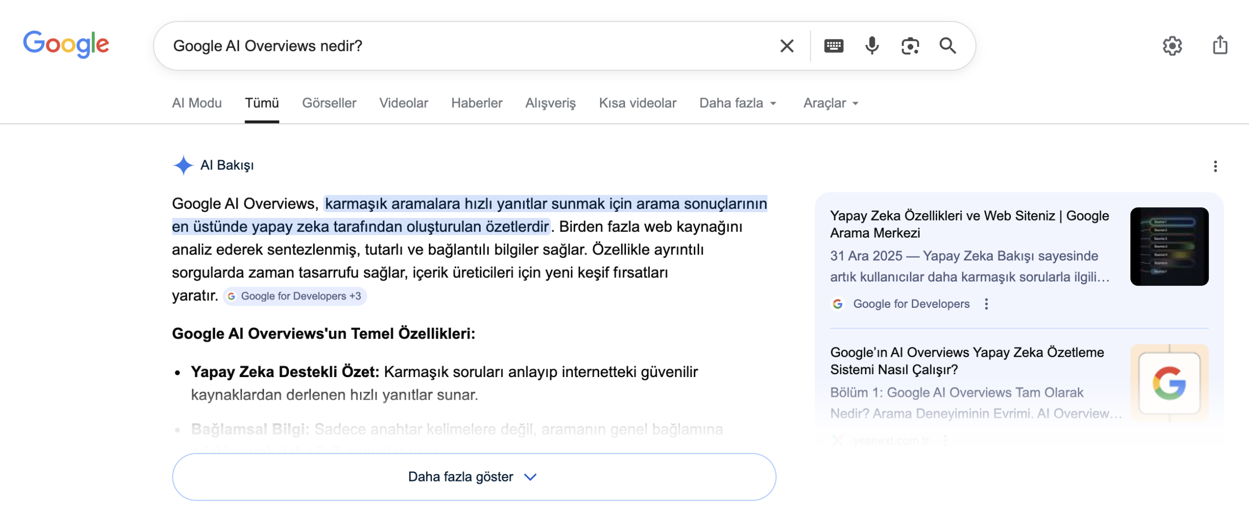 Google AI Overviews nedir?