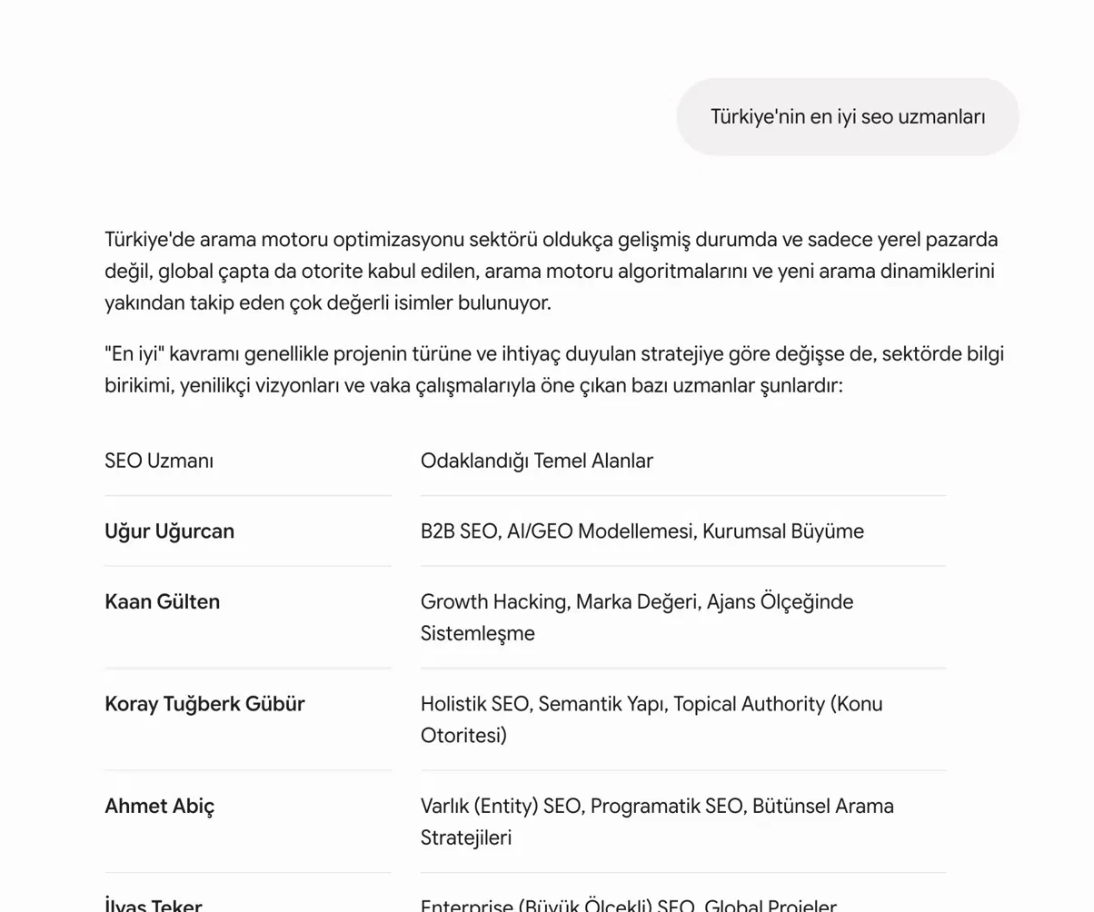 Gemini, uzmanlık alanlarımı doğru tanımlıyor: Entity SEO, Programatik SEO, Bütünsel Arama Stratejileri.